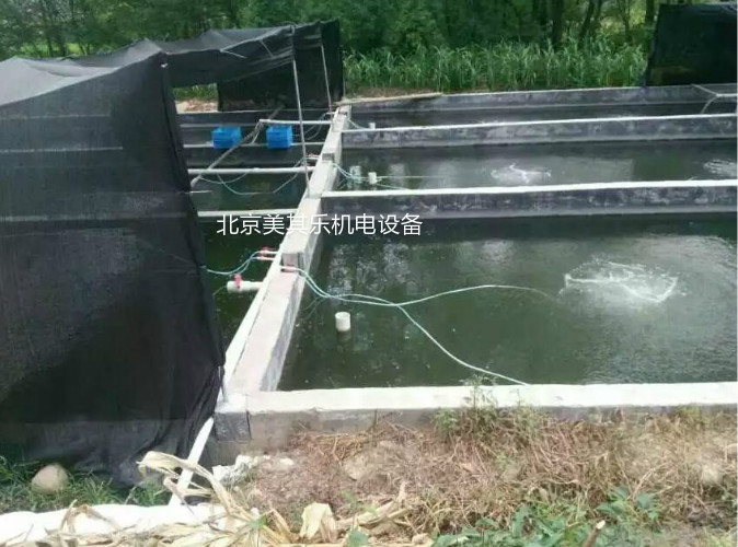 什么時(shí)候需要開啟魚塘增氧機(jī)