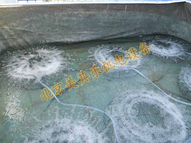 魚塘增氧高壓鼓風(fēng)機現(xiàn)場效果圖