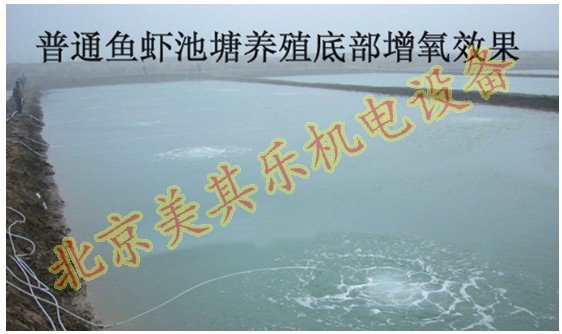 魚塘增氧高壓鼓風(fēng)機現(xiàn)場效果圖
