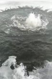 冬天氣溫低需要開增氧機嗎