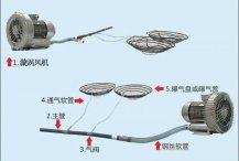  新型魚(yú)塘微孔增氧設(shè)備可減少病害的發(fā)生