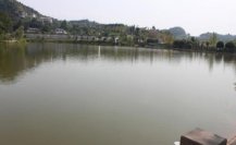 池塘增氧機(jī)讓死水活起來(lái),80畝魚(yú)塘塘主干勁十足