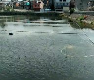 增氧風(fēng)機能給魚池打氧用嗎（真實咨詢案例）