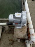 微孔漩渦增氧機(jī)好不好用，看看客戶(hù)是怎么說(shuō)的